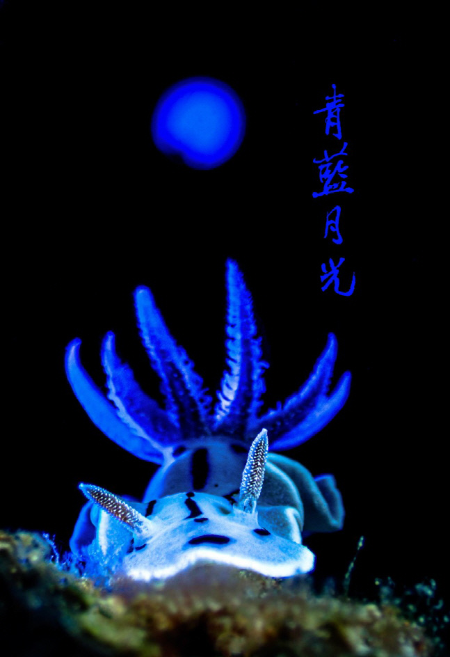 KakaoTalk_20220715_201358487