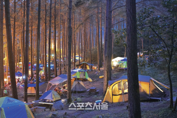 광양시, 테마여행 10선 ‘남도바닷길 캠핑대전’ 연다