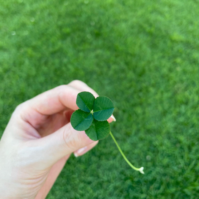 '현빈♥' 손예진, 결혼식 화려해도 태교는 소박하게…이민정 "조작 같은데"[★SNS]