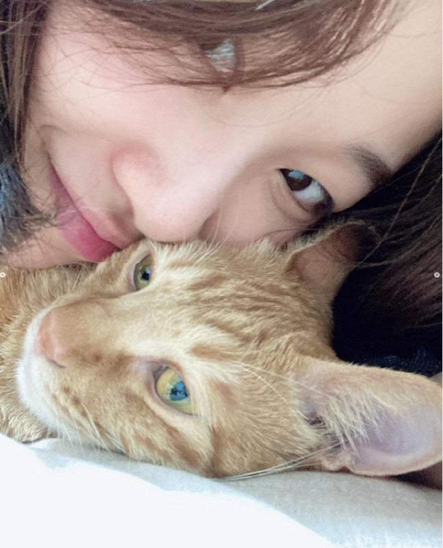 "주인님께 앵글반납" 지드래곤→김이나, 고양이집사들의 햄볶는 8월8일 풍경