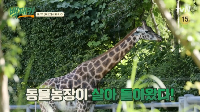 캡처_2022_08_11_10_43_06_909