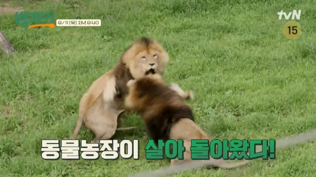 캡처_2022_08_11_10_43_06_909