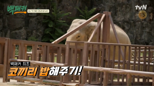 캡처_2022_08_11_10_43_06_909