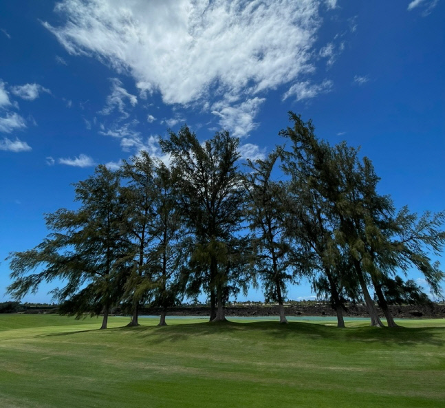 기업경영자 위한 골프 인맥관리 서비스 'CEO골프클럽' 론칭