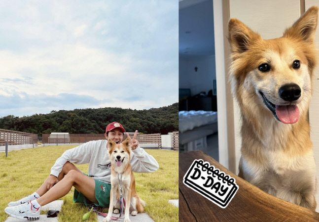 이기우, 오늘(24일) 비연예인 연인과 제주도서 결혼…품절남 대열 합류