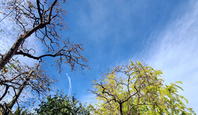 강릉의 깊어가는 가을