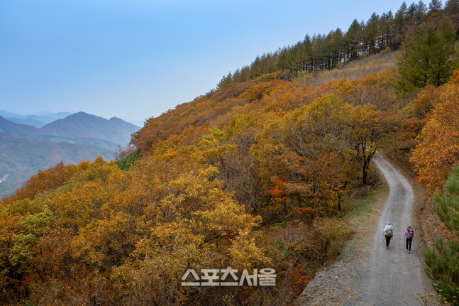 'TV 속 단풍 명소' 하이원리조트, 올 가을 단풍명소로 주목