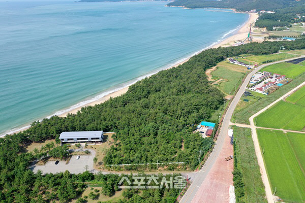 전남도, 신지명사십리 해수욕장 '곰솔림' 방제사업 추진