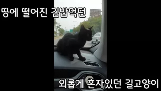 0000841139_002_20221008122001476