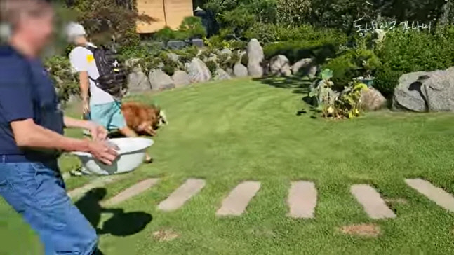 캡처_2022_10_11_06_16_57_692