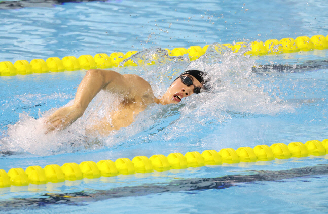 '또' 기록 세운 황선우, 계영 400m 한국 新...3관왕 확보[전국체전]