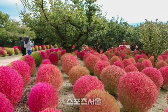 에버랜드가 강추하는 단풍놀이 코스 'TOP 7'