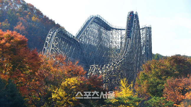 에버랜드 단풍_티익스프레스