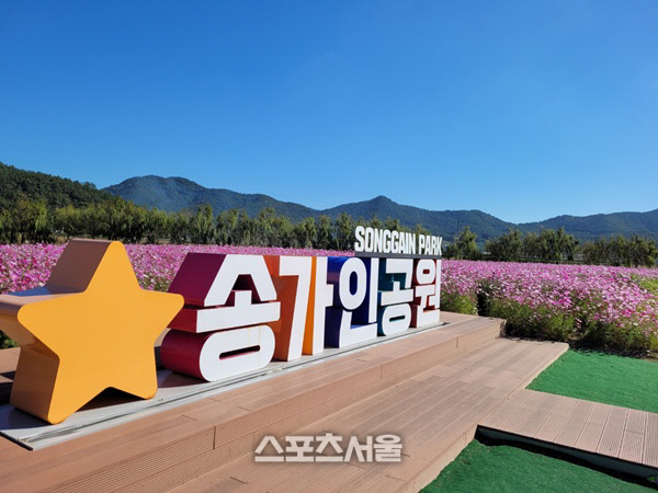 송가인 공원, 살사리 꽃