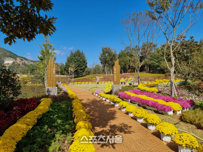 사본 -1. “환상의 꽃동산…옥정호 붕어섬에 초대합니다”2