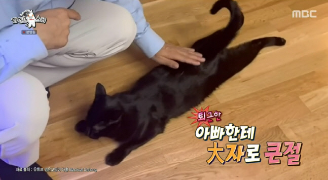 캡처_2022_10_19_23_27_37_292