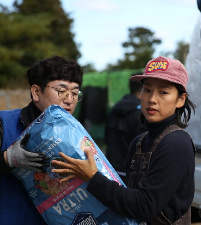 이효리