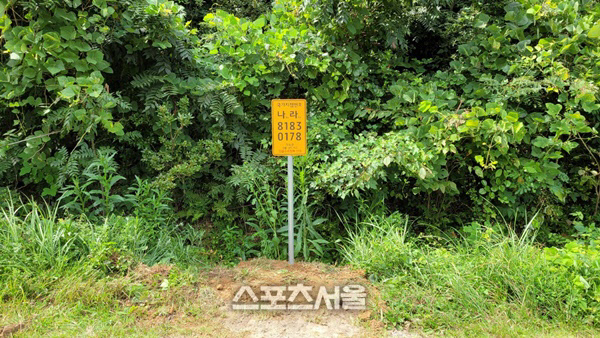 진도군, 등산로에 '국가지점번호' 설치