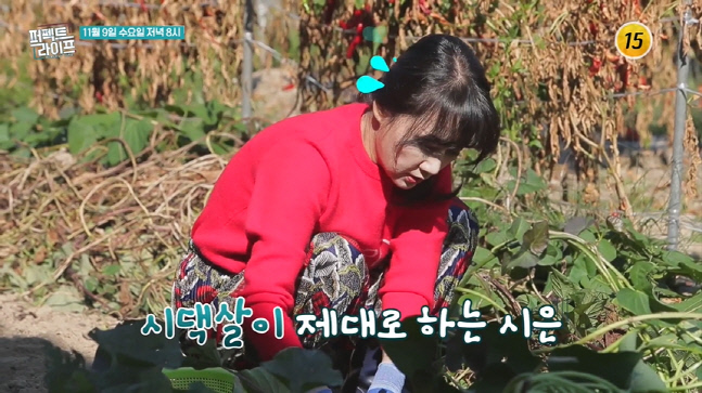 캡처_2022_11_09_17_31_04_574