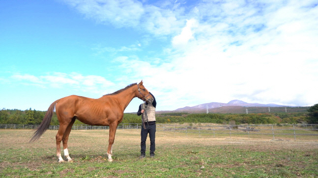 청담도끼&롤러블레이드 은퇴...관상마,씨수말로 제2마생