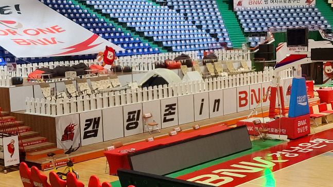 '농구장에서 캠핑을' BNK썸, 캠핑존 신설...반려동물도 동반 입장 가능