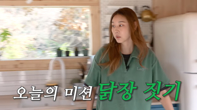 한혜진, '혜진궁' 옆에 닭장 짓는데 63만 원.. 자잿값 상승에 "푸틴XX" 분노 (한혜진)