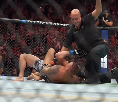 포이리에챈들러