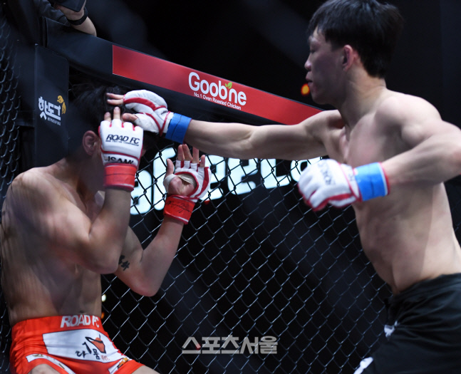 화려한 공격력을 보여준 김진국, ARC 008에서 이신우에 KO로 승리해