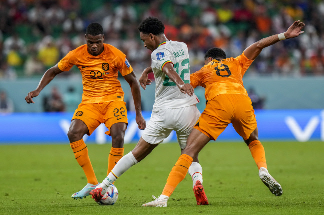 WCup Senegal Netherlands Soccer