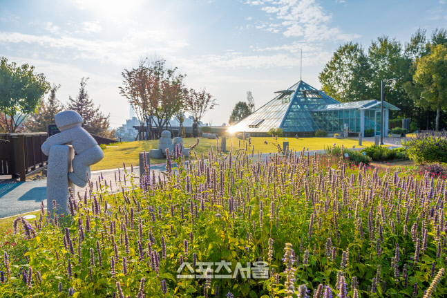 2-2. 허브천문공원의 온실과 허브꽃의 풍경