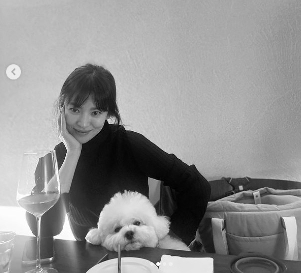 캡처_2022_11_23_08_42_23_562