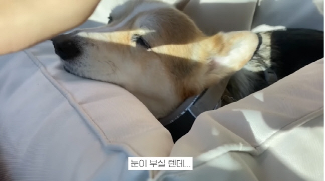 캡처_2022_11_22_16_46_08_319