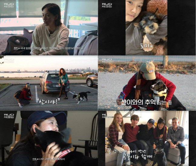 캐나다 입양간 유기견 '산', 이효리 한눈에 알아봤다 [캐나다 체크인