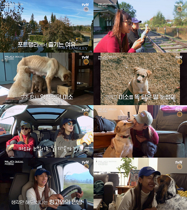 이효리, 쓰레기통에서 구조한 견공 레오 만난다 [캐나다 체크인]