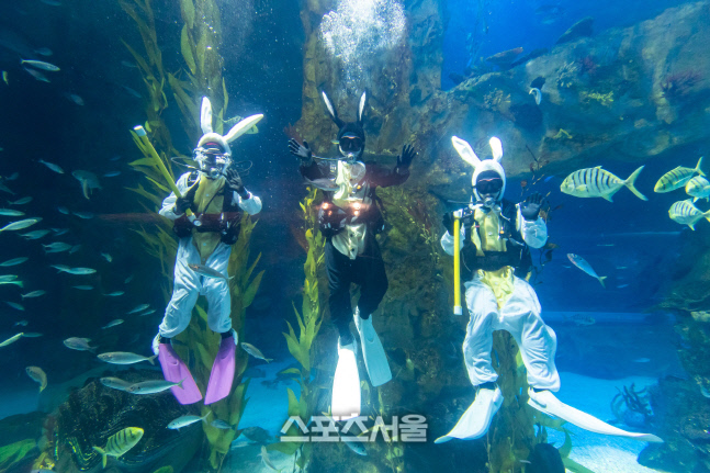 [롯데월드](2)_ 아쿠아리움 메인수조에서