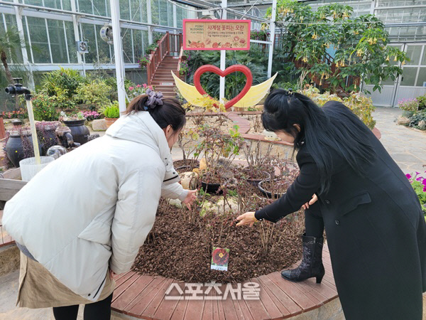 세계모란공원 유리온실 꽃봉오리 (2)