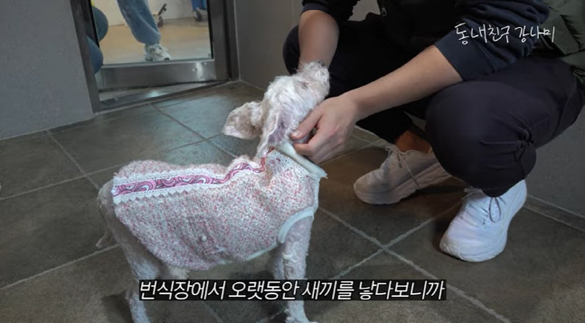 캡처_2023_01_03_09_20_06_113