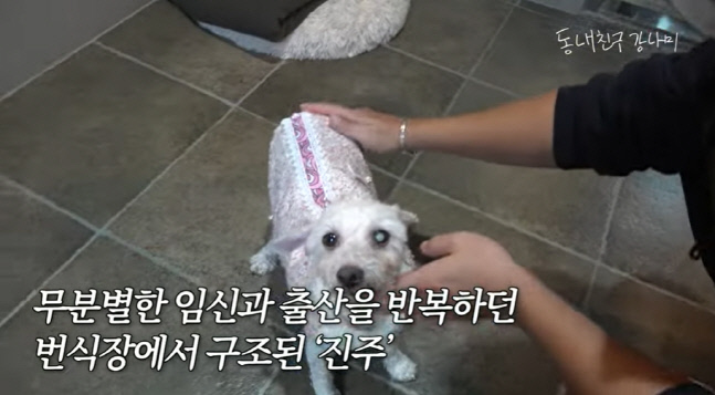 캡처_2023_01_03_09_20_06_113