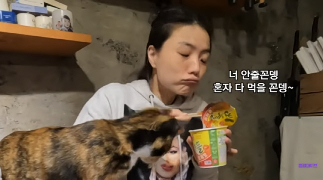 안영미, 제주도까지 가서 분말수프 빼먹은 컵라면 먹방에 '씁쓸'('셀럽파이브')