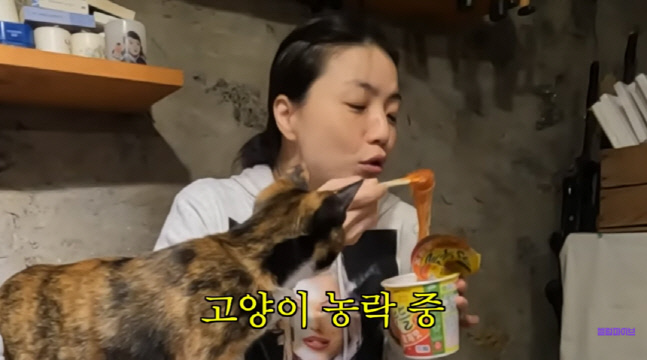 캡처_2022_12_28_22_20_24_846