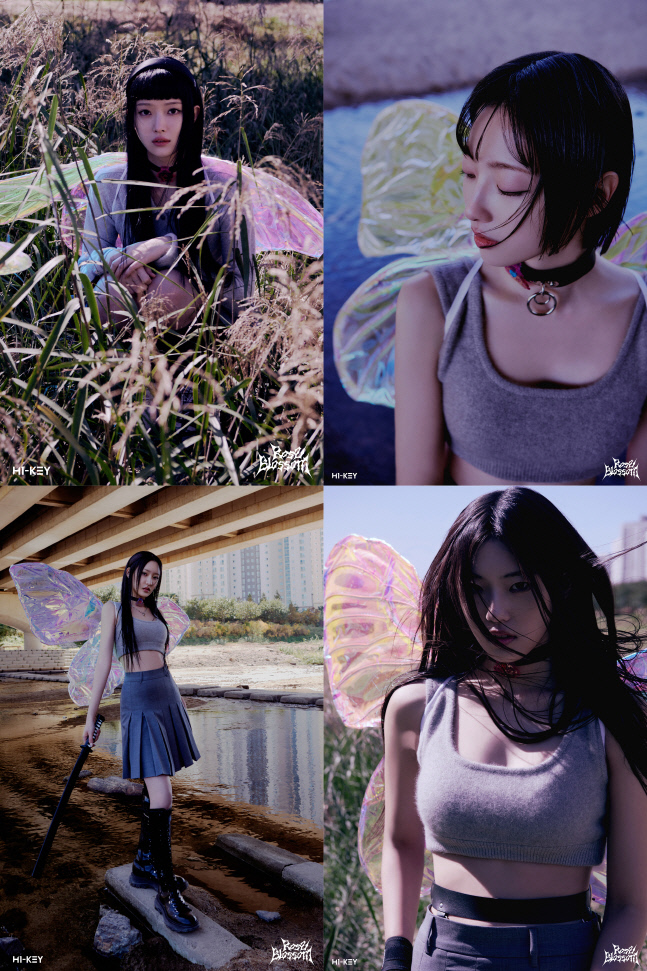 하이키 개인 (1)