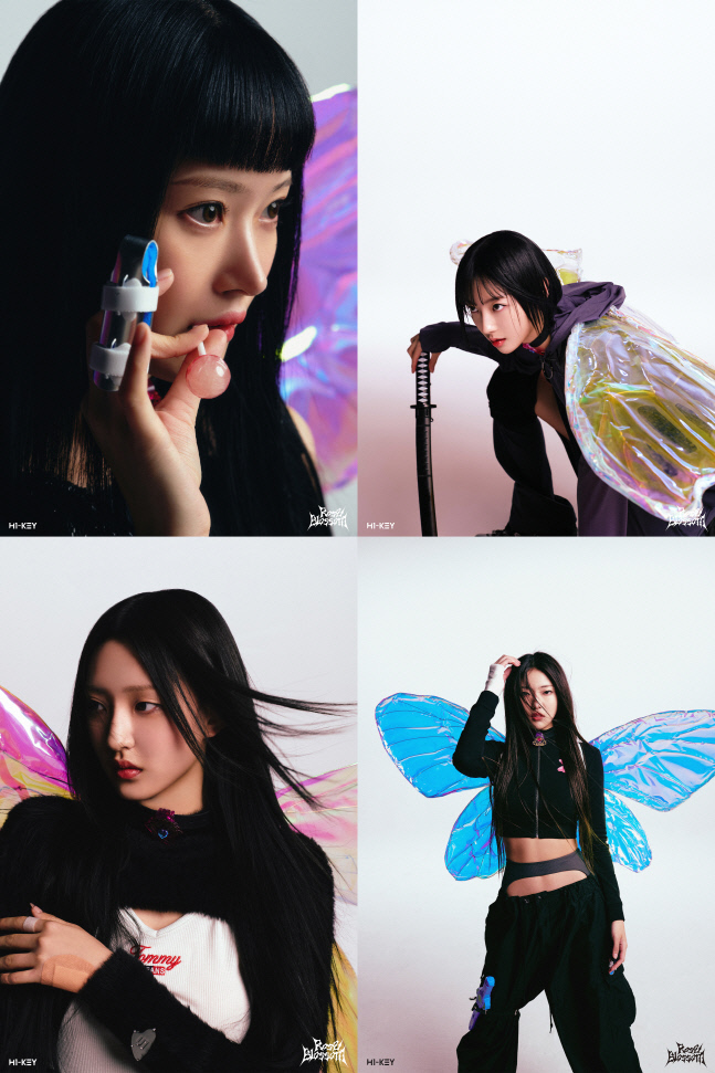 하이키 개인 (2)