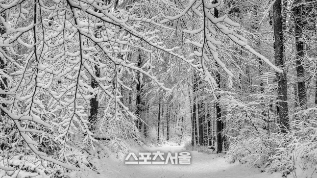 [보도자료] WE호텔 제주, 청정 힐링 겨울 이야기(2)