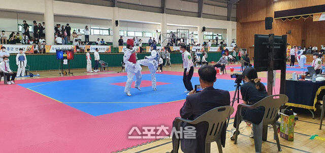 완도군,제62회 전남체전"알고보면 대단한 스포츠"