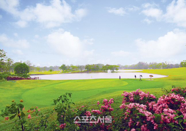 40대 남성, 일요일 라운드 가장 많이 즐겨…부킹앱 이용실태 분석