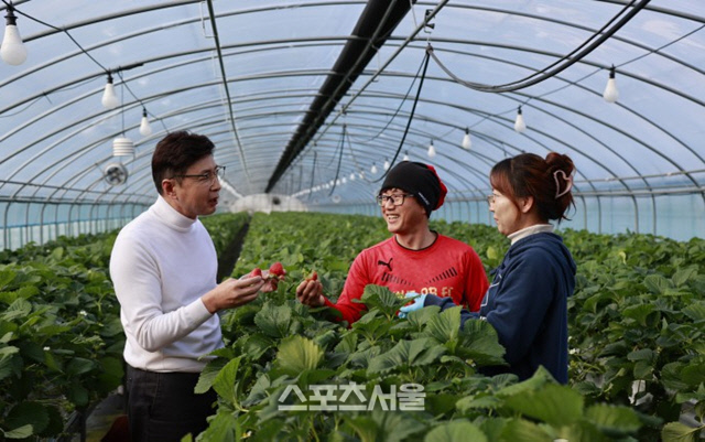 보성군,"명품 딸기" 최고를 꿈꾼다
