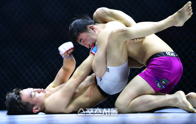 '이정영 동생' 이정현, 장진표에게 심판전원일치 판정승 거둬