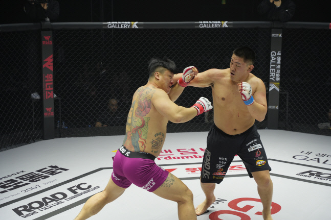 배동현세키노타이세이2