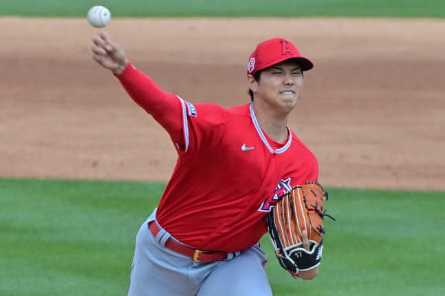 무르익는 WBC 분위기, 고진영 김효주 최혜진 등 '골프여제'도 "대표팀 파이팅"