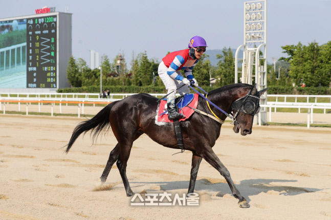 (기획1)(사진)